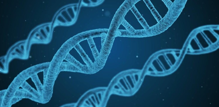 How DNA Tests Aid Immigration Processes